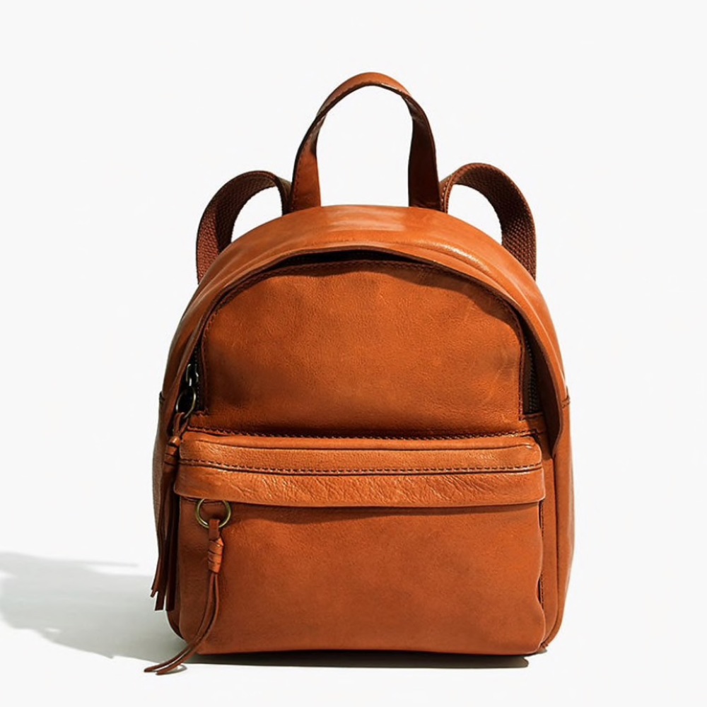 The Lorimer Mini Backpack • Madewell